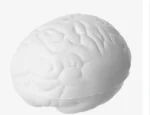 ANTIESTRÉS CEREBRO